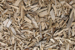 biomass boilers Annochie